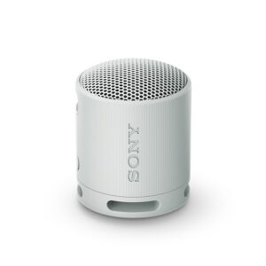 Sony SRS-XB100 Gris 1