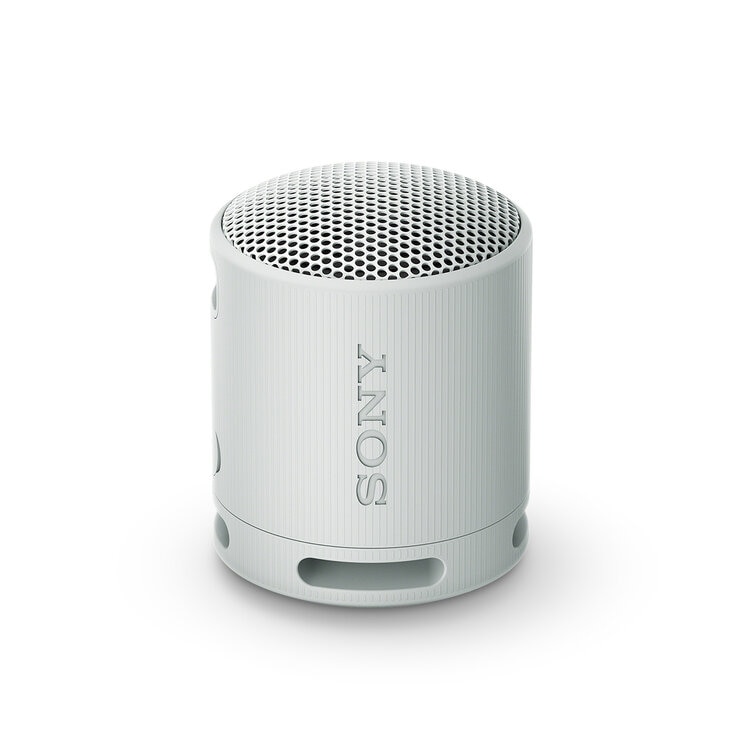 Sony SRS-XB100 Gris 1
